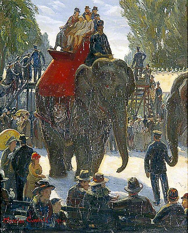 The Elephant Ride