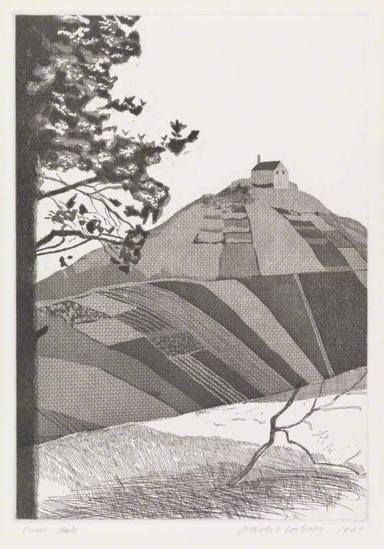 A Wooded Landscape