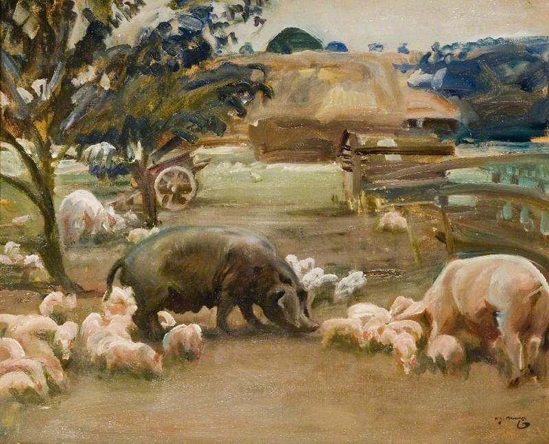 Pigs at Great Thurlow, Suffolk