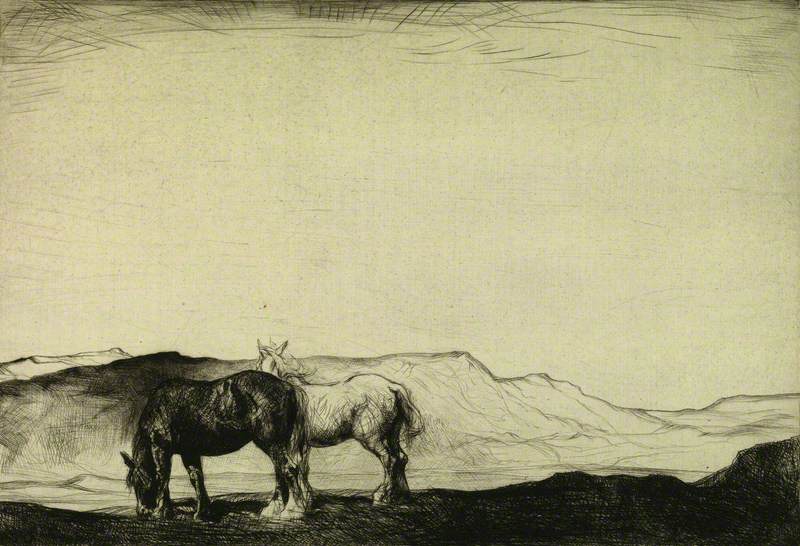 Two Horses in a Field