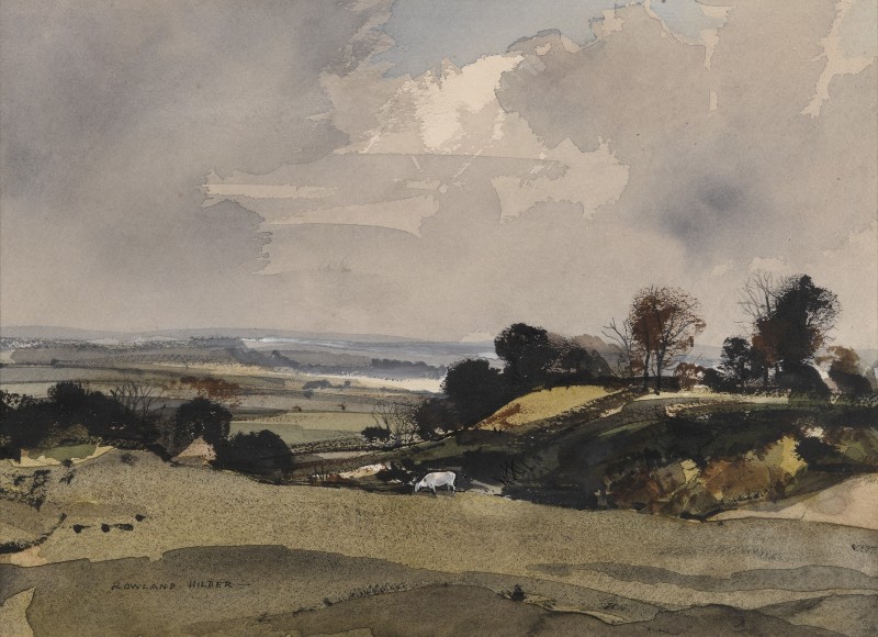 Hampshire Scene with a White Cow