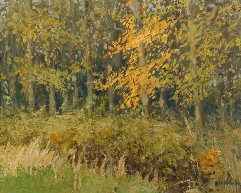 The Wood in Autumn