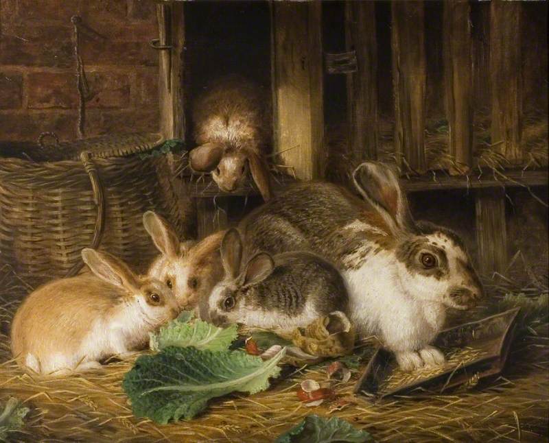 Five Rabbits