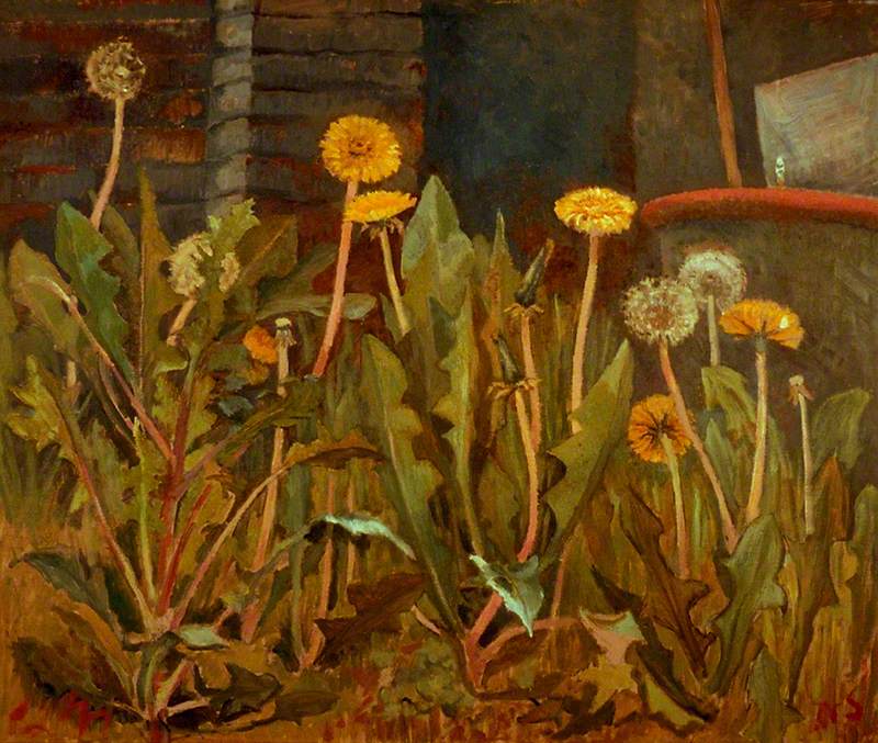 Dandelions