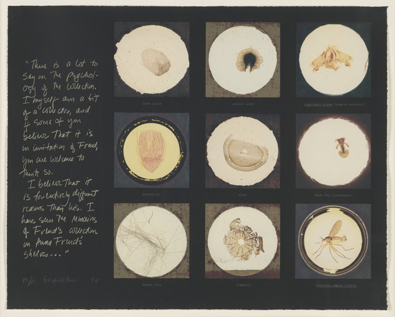 After microscopic slides found in Freud's collection and a quotation from Jacques Lacan