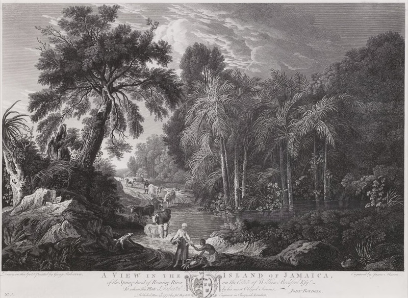 A View in the Island of Jamaica, of the Spring-Head of Roaring River on the Estate of William Beckford Esq.[5]