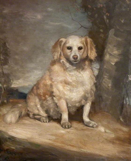Old Dog Seated by a Tree