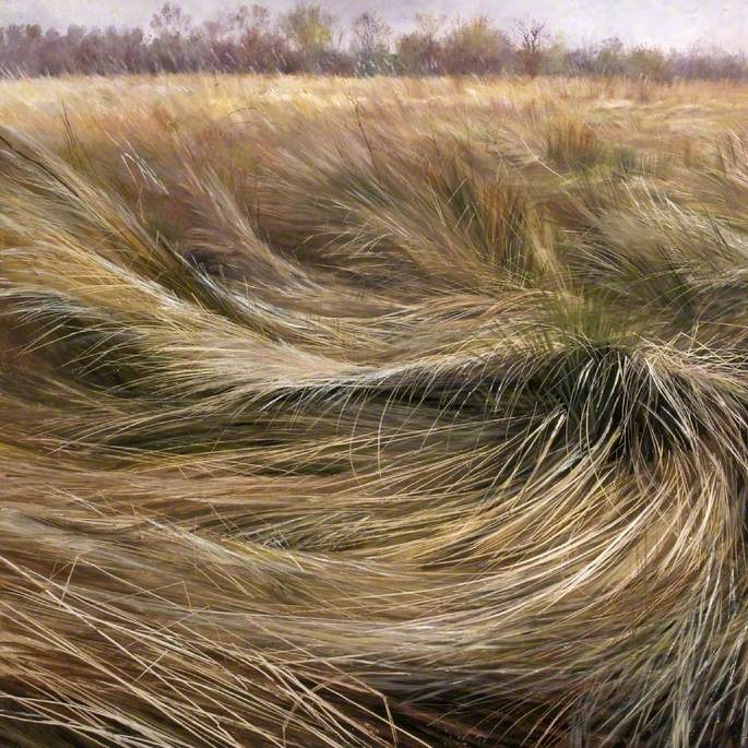 Sea of Grasses