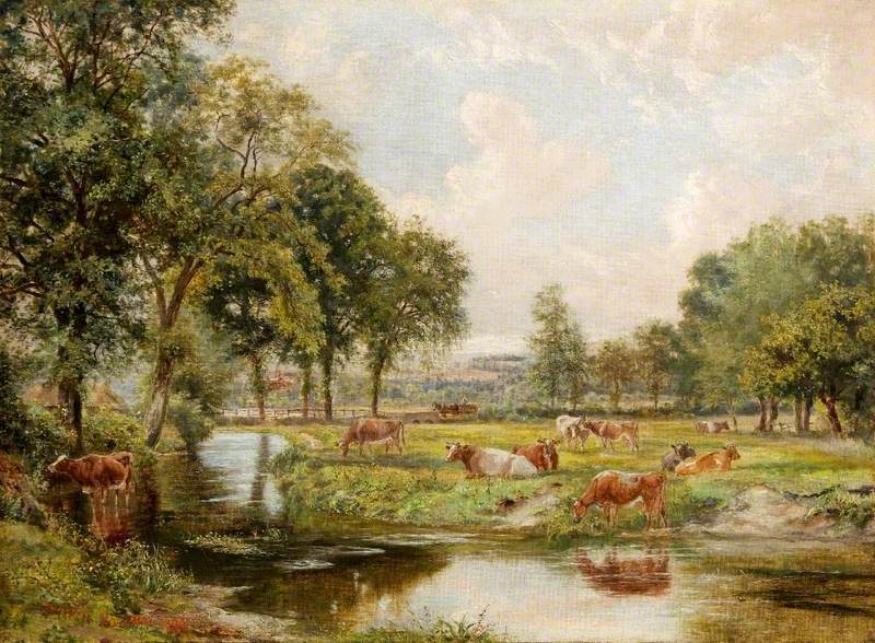 Cattle and Stream