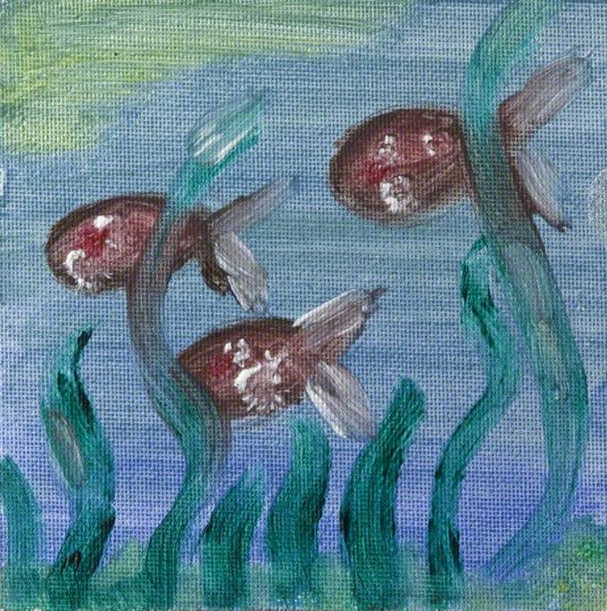 Three Little Fish