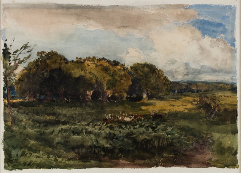 Woodland Landscape: Richmond Park