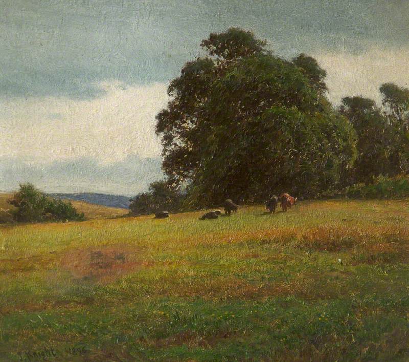 Meadow Scene