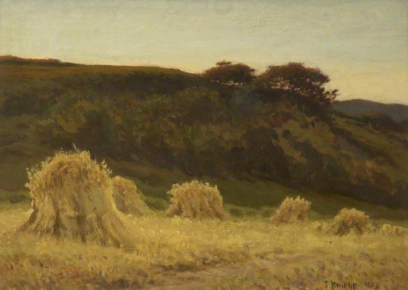 The Corn Field