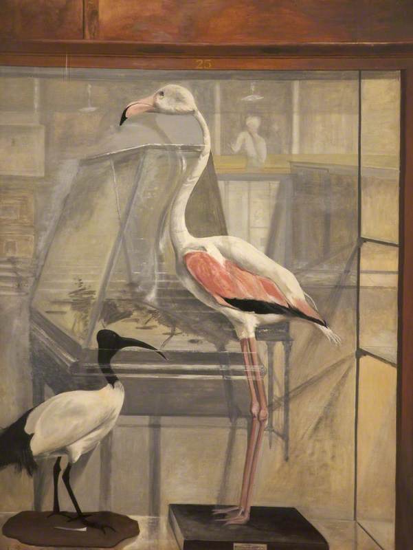 The Dead Flamingo, Interior of Bethnal Green Museum