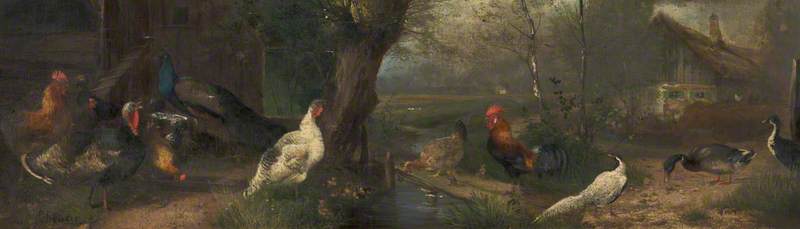 Poultry in a Farmyard
