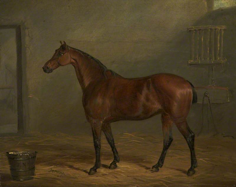 Mr Nuttall's Pony, 'Jenny'