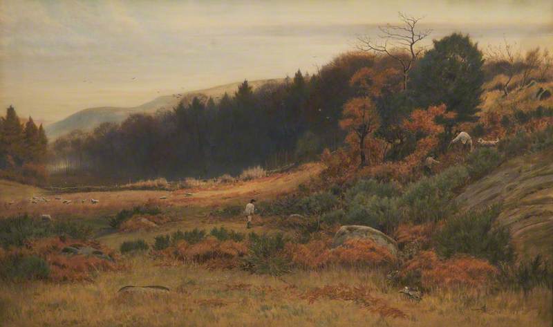 Autumn at Caerhun, Conway Valley