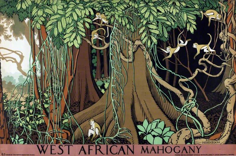 West African Mahogany