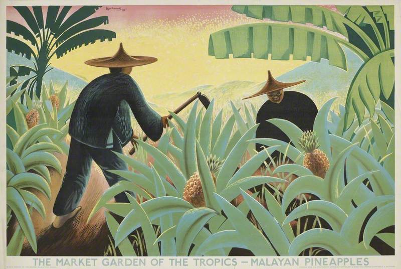 The Market Garden of the Tropics – Malayan Pineapples