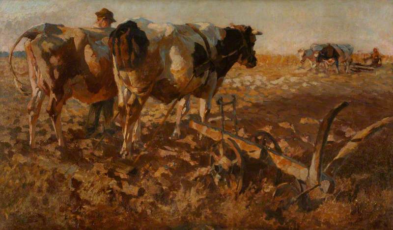 Cattle Ploughing in an Open Landscape