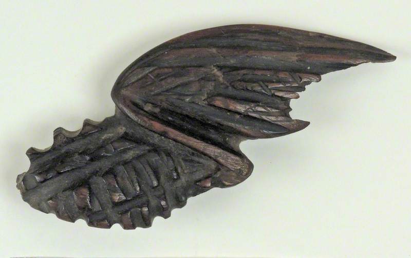 Abstract Bird's Wing with Integral Basketwork
