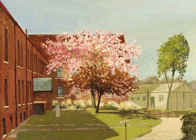 Cherry Blossom: South Hospital, St Mary's