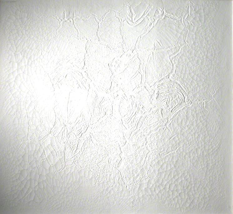 Artist Cracks the Mathematics of Chaos