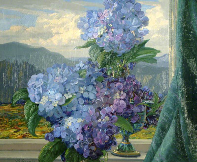 From a Lakeland Window: Hydrangeas