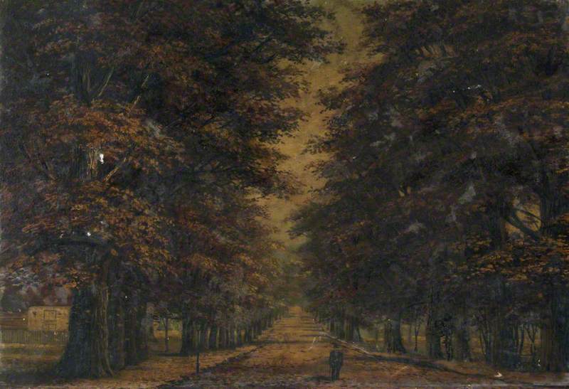 Common (Summer), the Avenue