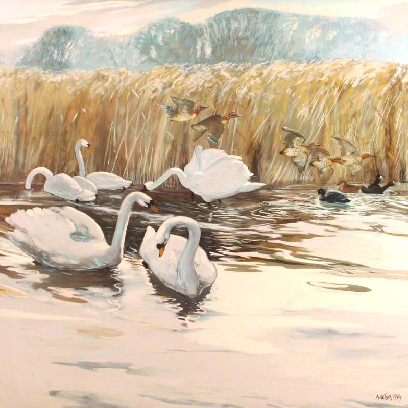Swans and Ducks in Flight