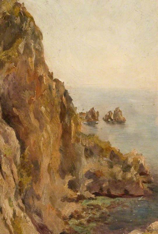 Cliff Rocks and Sea