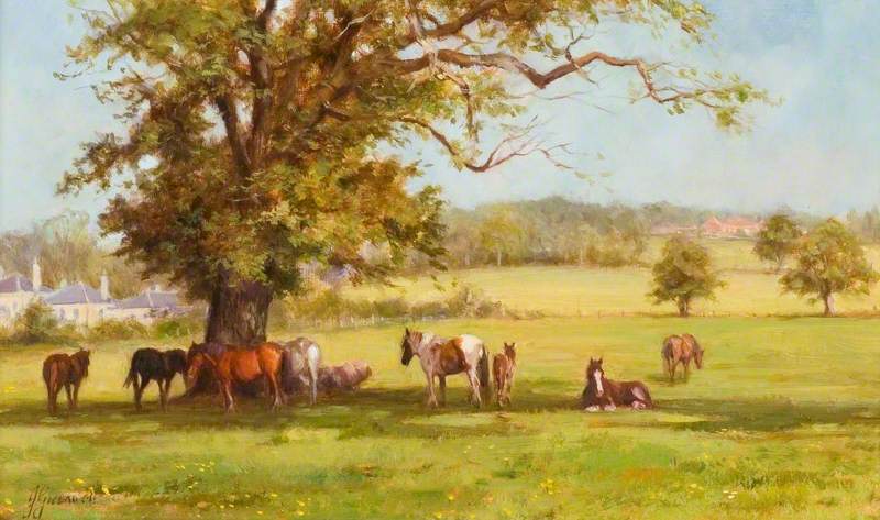 Gypsy Horses on Merry Hill, Bushey