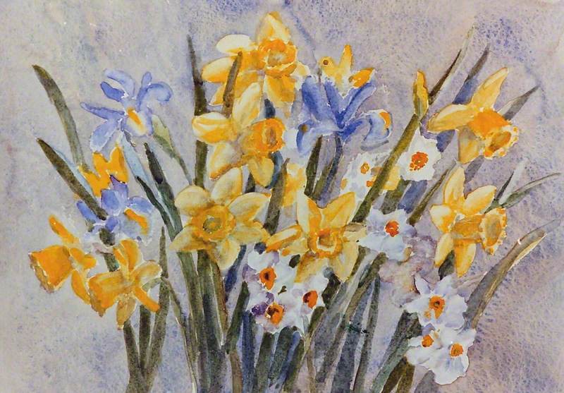 Iris, Daffodils and Narcissus