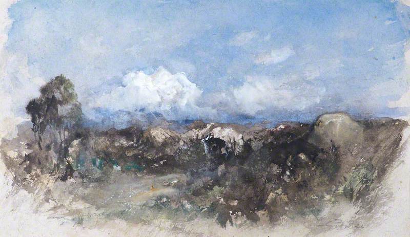 Moorland Scene