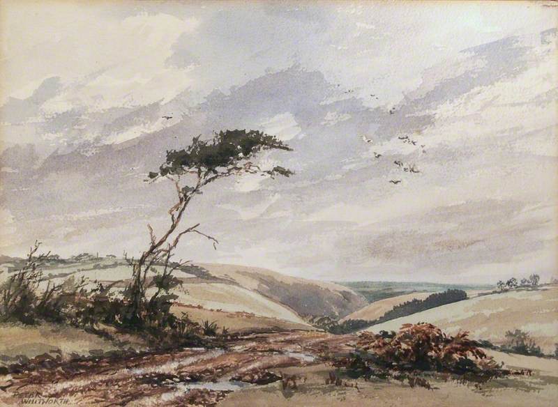 Wind over Exmoor