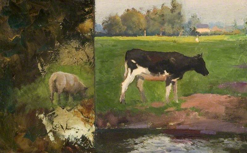 Studies of a Cow and a Sheep