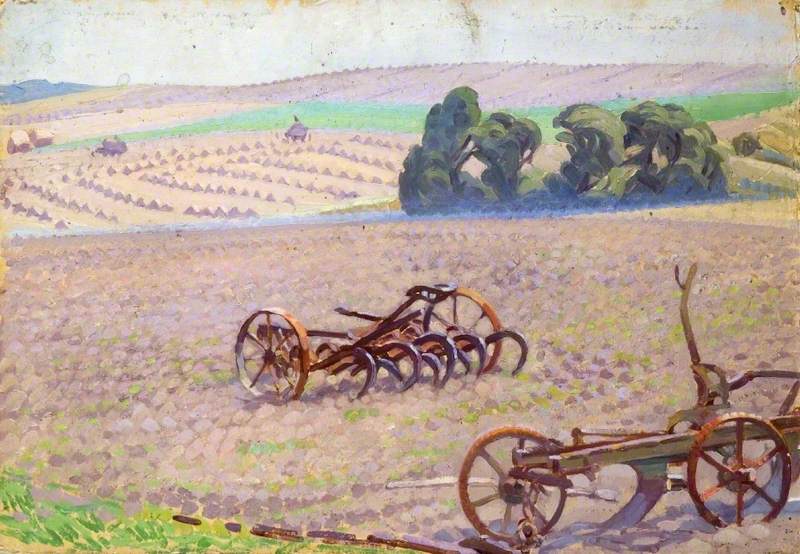 Harvest Landscape