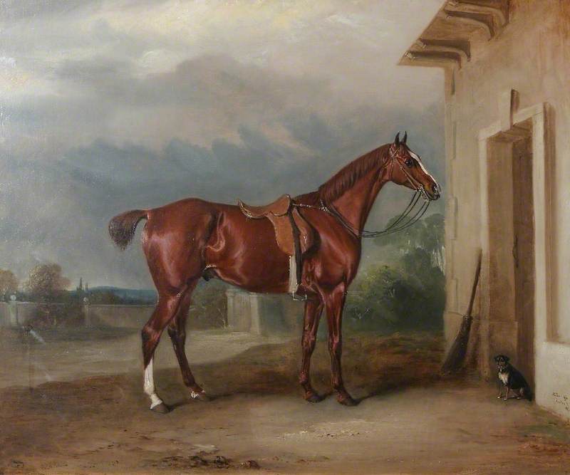 'Orion', a Chestnut Hunter Outside a Stable