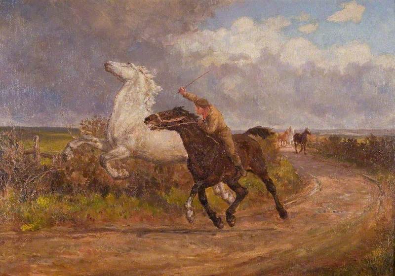 Runaway Horse