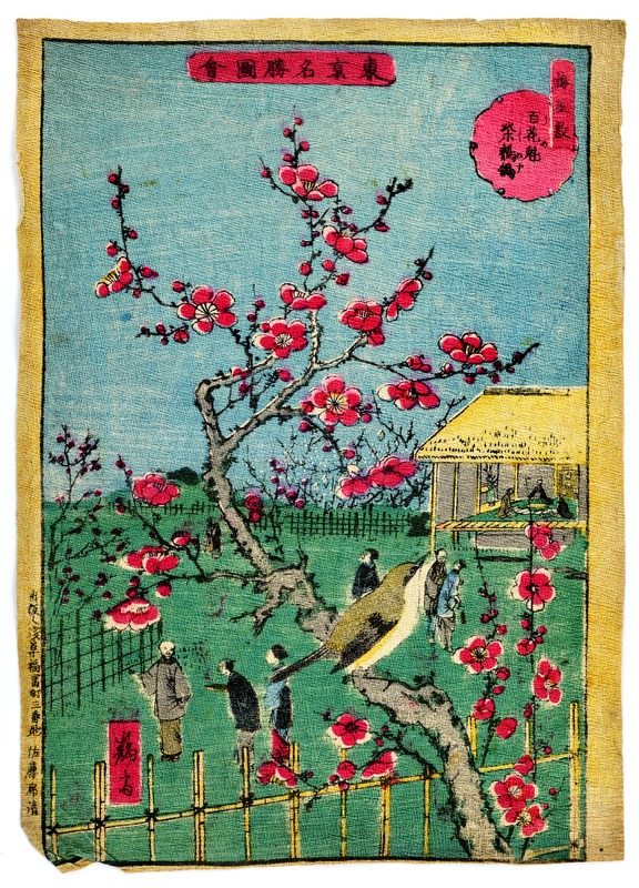 Plum Manor, Plum Blossom and Japanese Nightingale