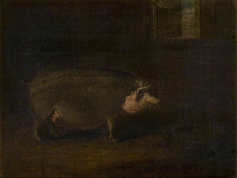 A Pig in a Sty