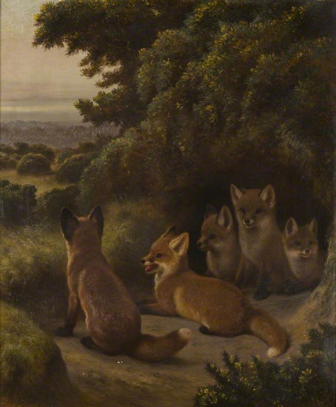 A Litter of Fox Cubs