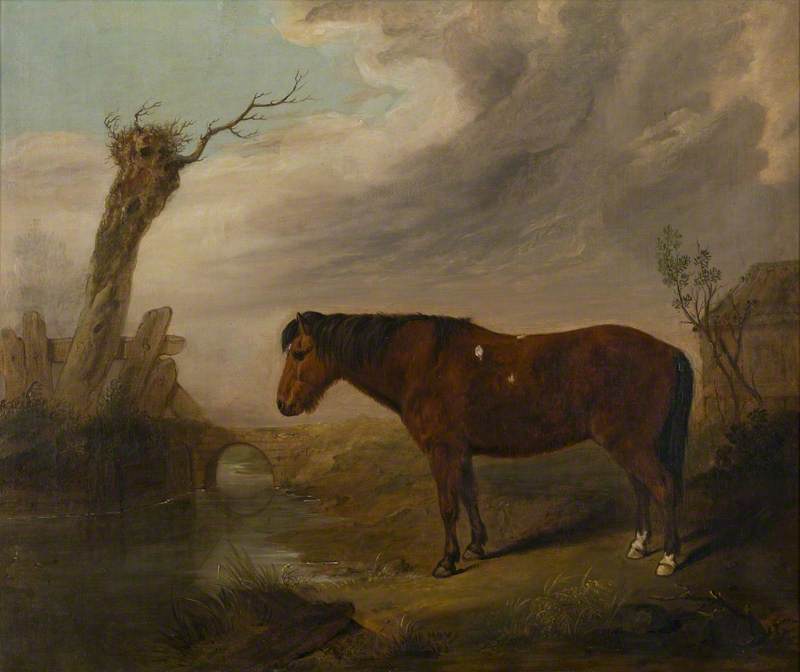A Bay Pony by a River