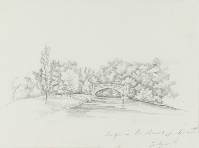 Bridge in the Shrubbery, Weston, July 20th
