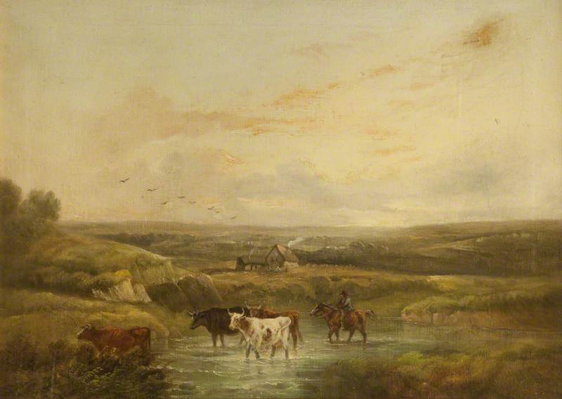 Cattle Crossing a River
