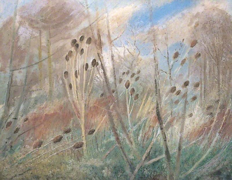 Teasels