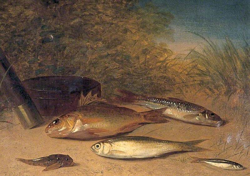 A Catch with Ruffe, Gudgeon and Dace