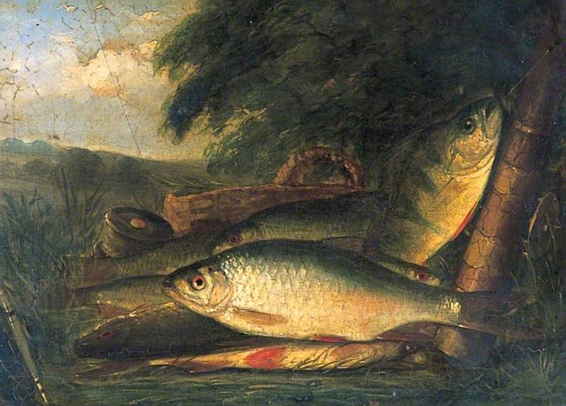 A Catch of Perch and Bream