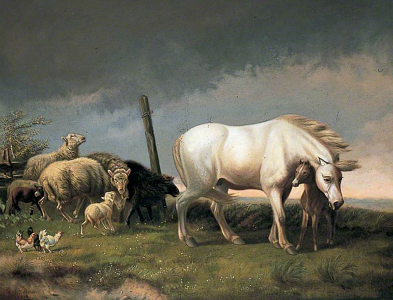 Sheep and Horses in a Wind