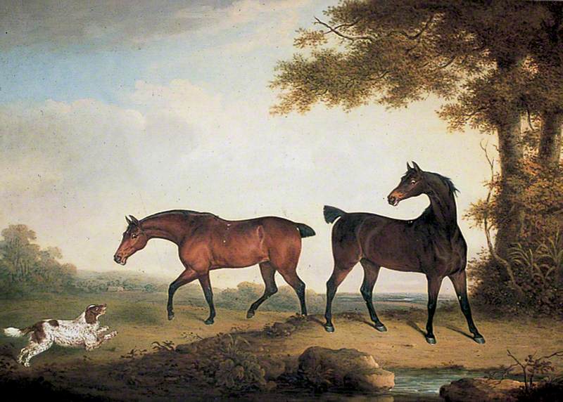 Two Chestnut Horses with an Eager Spaniel